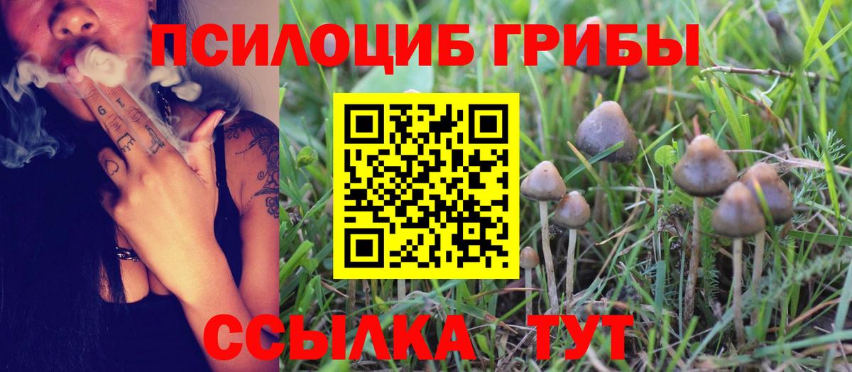 Тамбов  Псилоцибиновые грибы Magic Shrooms  Вход с VPN 